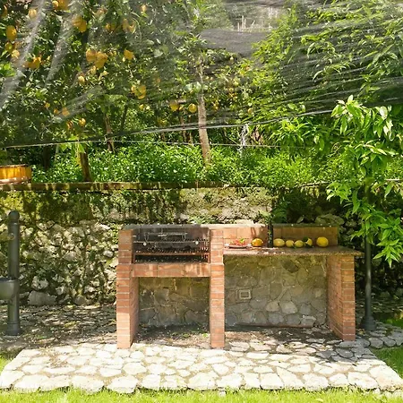 Pricitella アマルフィ